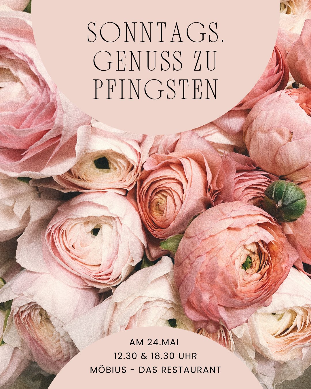 Sonntags.Genuss zu Pfingsten Plakat